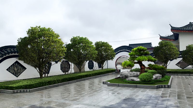 裸根苗木栽植，如何提升成活率？**