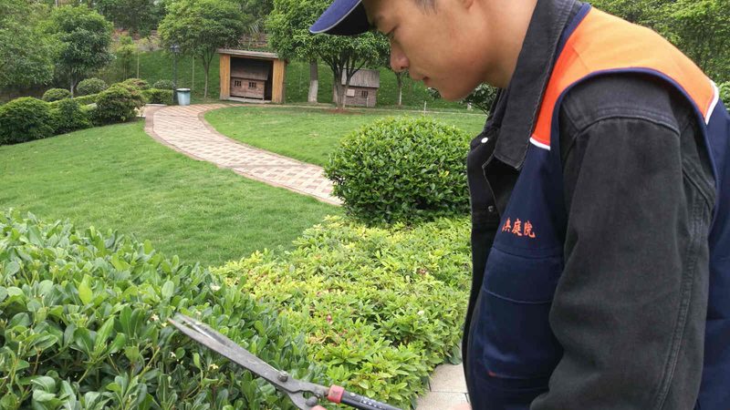 庭院植物四季常绿，如何打造？方案与报价解析