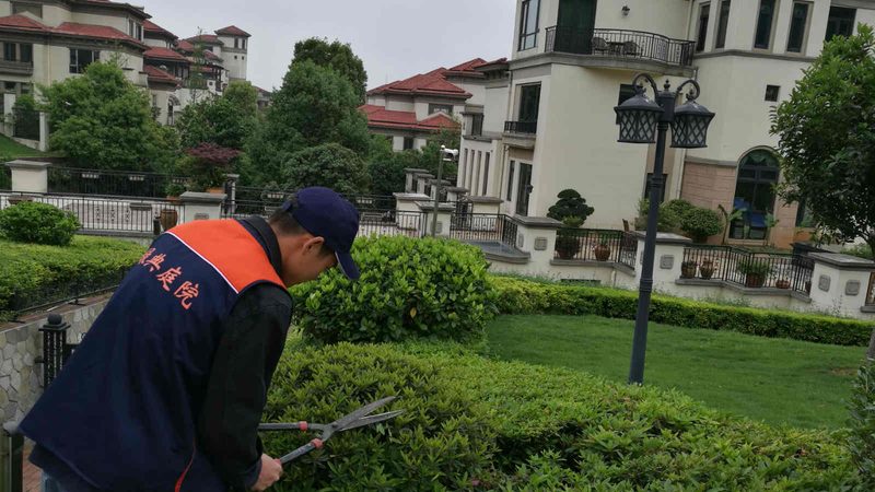 立体绿化工程承包报价：揭秘成本构成与优化策略**