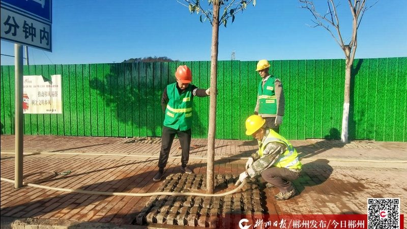 草坪病虫害识别与防治方法视频教程：关键步骤与要点解析