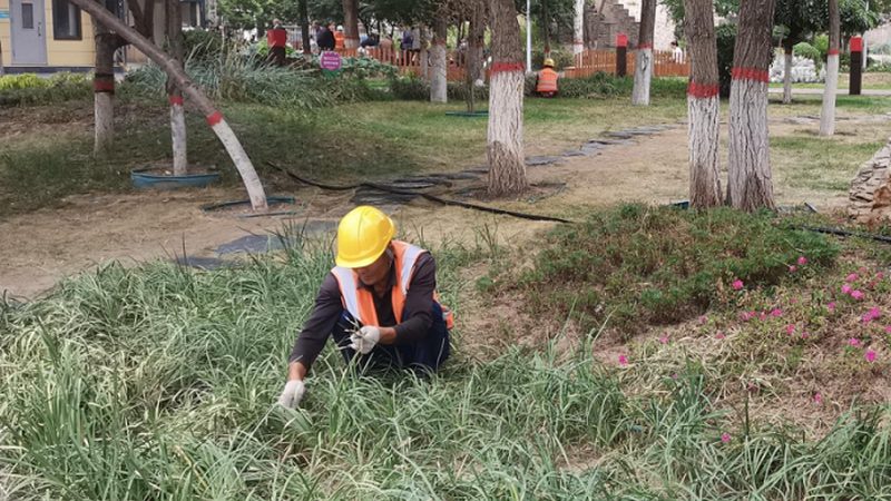 成都绿化资质转让价格影响因素解析**