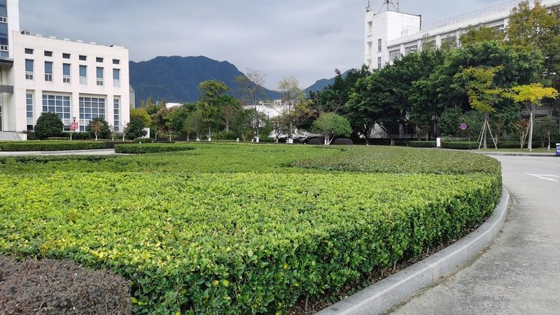 别墅花园设计效果图：材质搭配的艺术与科学