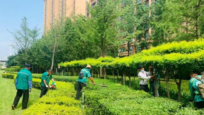 别墅花园设计费用通常包括以下几部分：