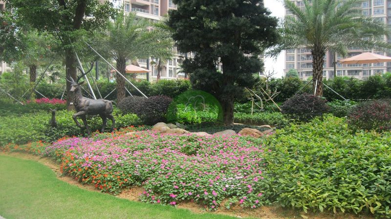 园林工程报价步骤解析：精准报价，保障项目顺利进行**