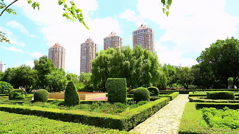 绿化养护药剂：如何选择合适的批发报价**