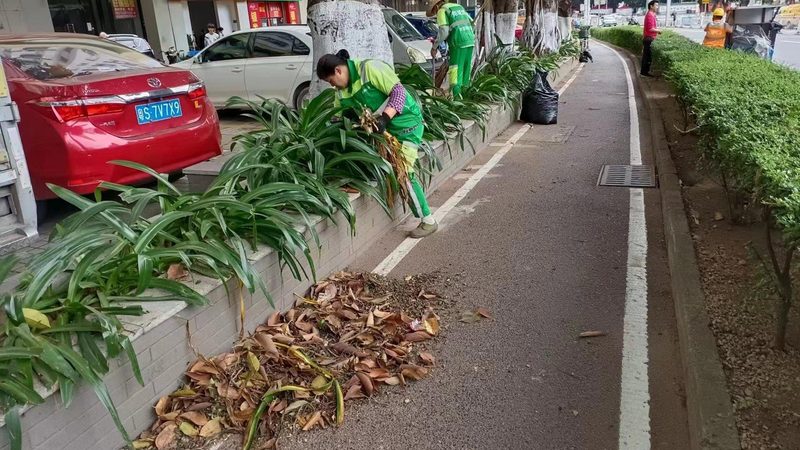 四川边坡绿化施工队，如何选择口碑好的？**